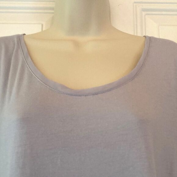 BANANA REPUBLIC Luxe Touch Icelandic Blue Crew Neck T Shirt Womens Large - Picture 5 of 11